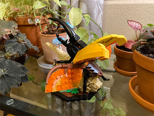 The beetle model on the base with wings open