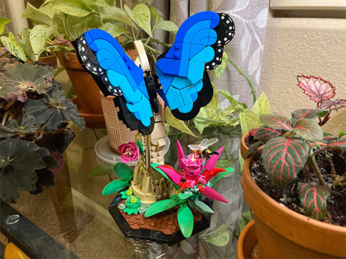 The butterfly model posed on the base