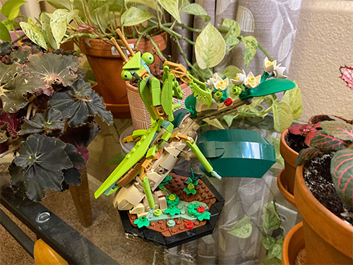 The mantis model posed on the base