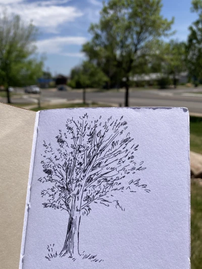 A loose sketch of a tree in black ink.