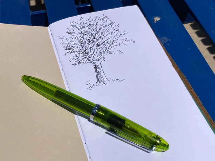 The drawing with the Sailor Compass pen