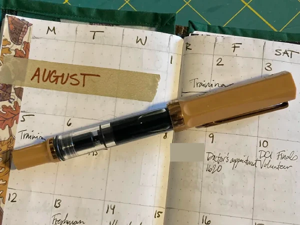 Month view page of my planner