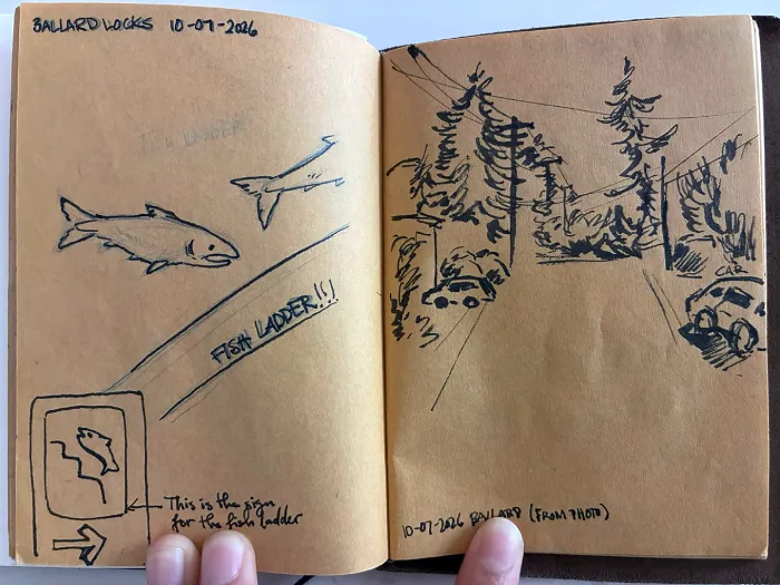 Drawings of the fish ladder (left) and a street in Ballard