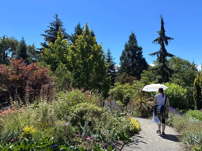Photo of the perennial portion of the Bellevue botanical garden