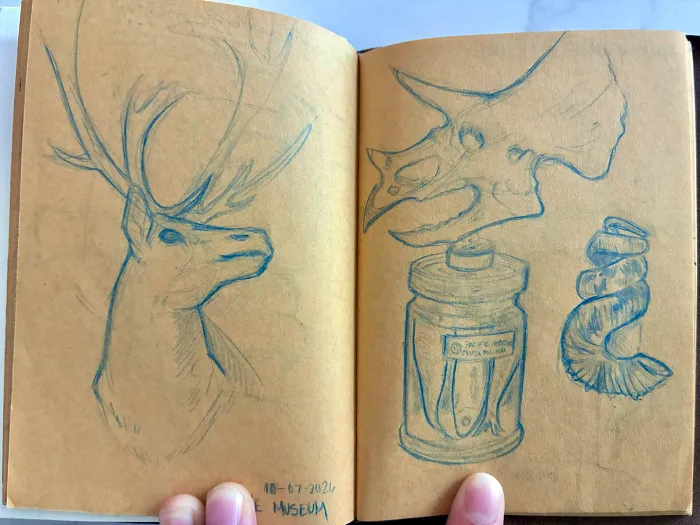 Drawings from the Burke Museum
