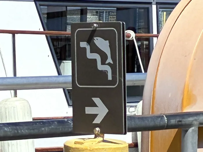 The fish ladder sign, which looks like a fish going up stairs