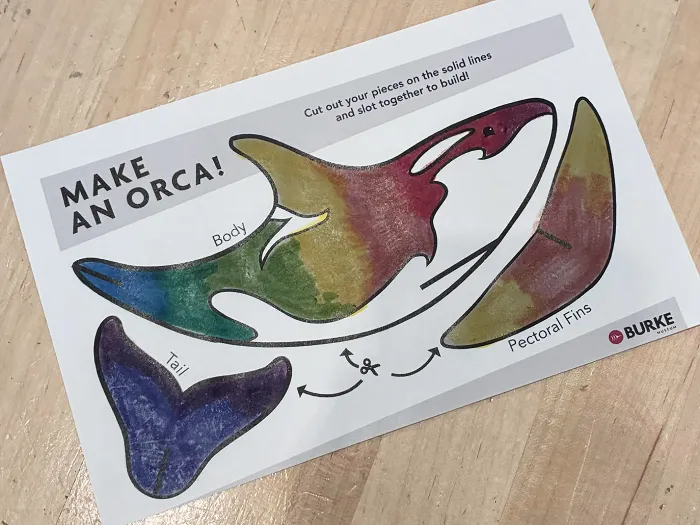 Rainbow orca!!!