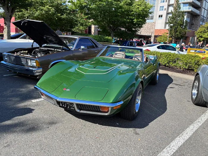 Olive green Corvette Stingray, the car of all time