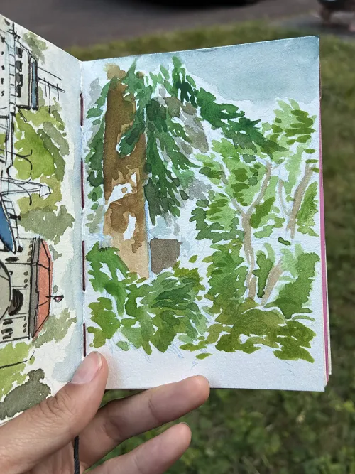 Watercolor painting of trees in Curi's yard