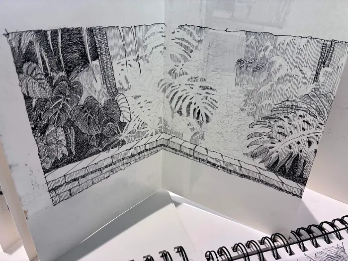 Drawing by Michael Sanchez